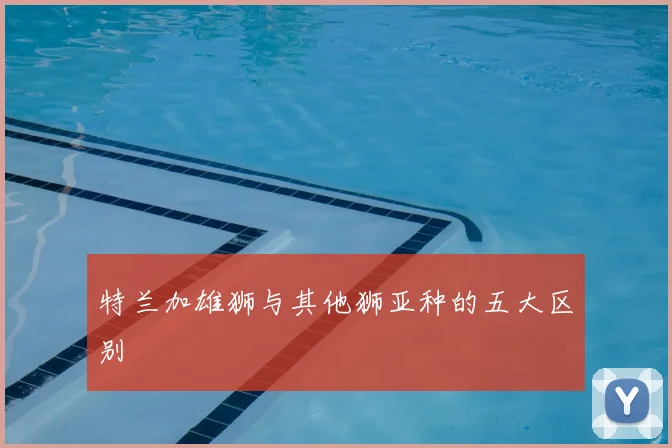特兰加雄狮与其他狮亚种的五大区别