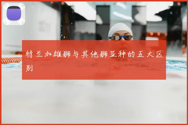 特兰加雄狮与其他狮亚种的五大区别